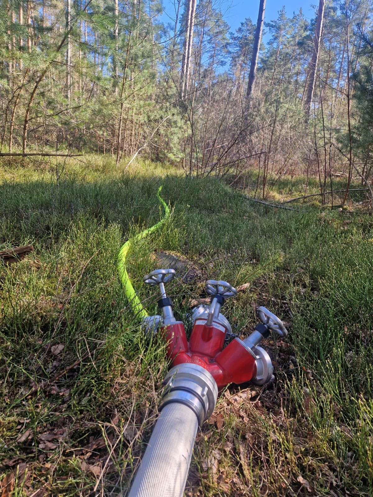 35ad2f5c 18d7 4c40 9774 523d53e7b929