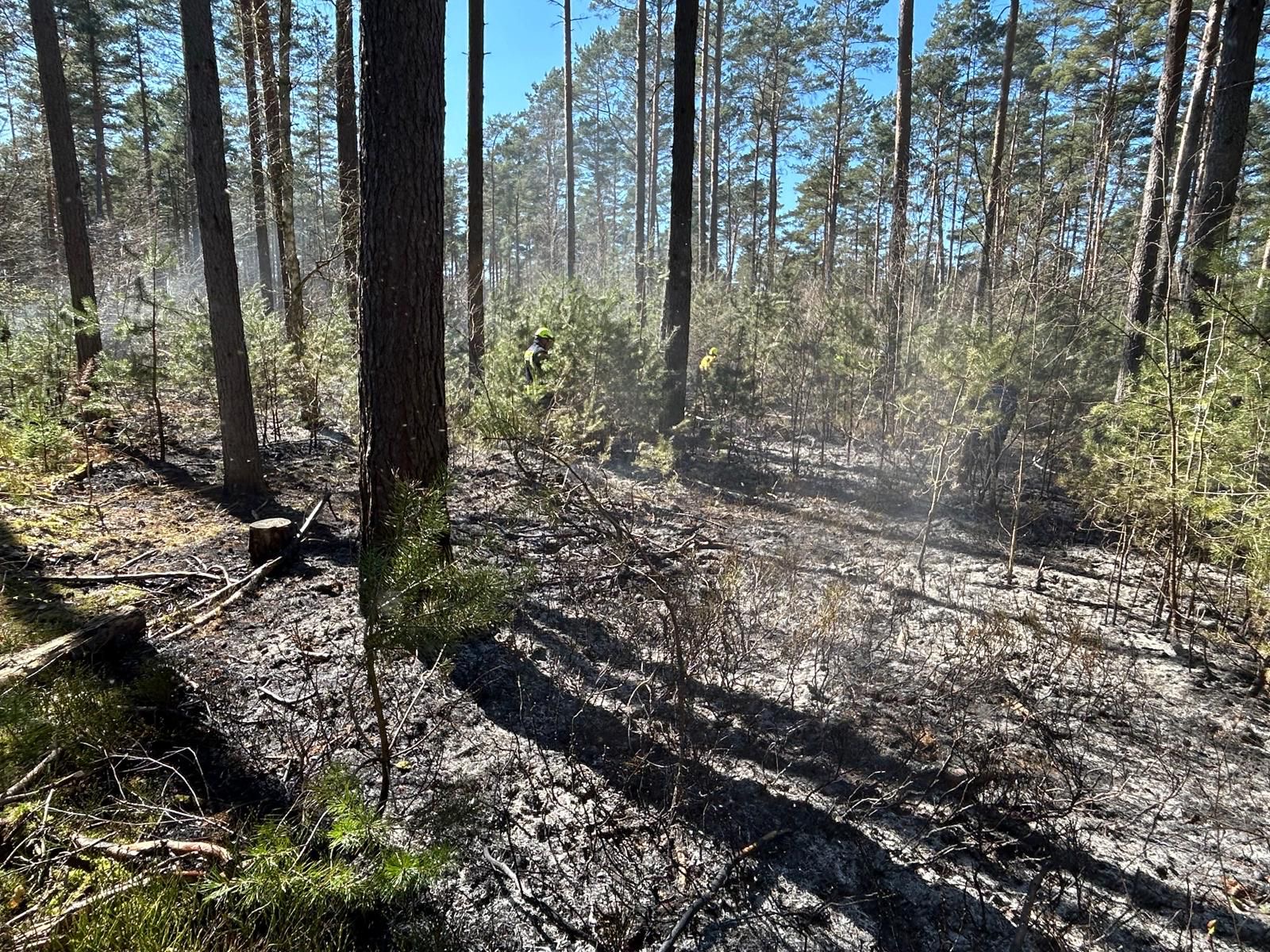 Aeb9015f 08ed 44cc 931a 191563fa424d