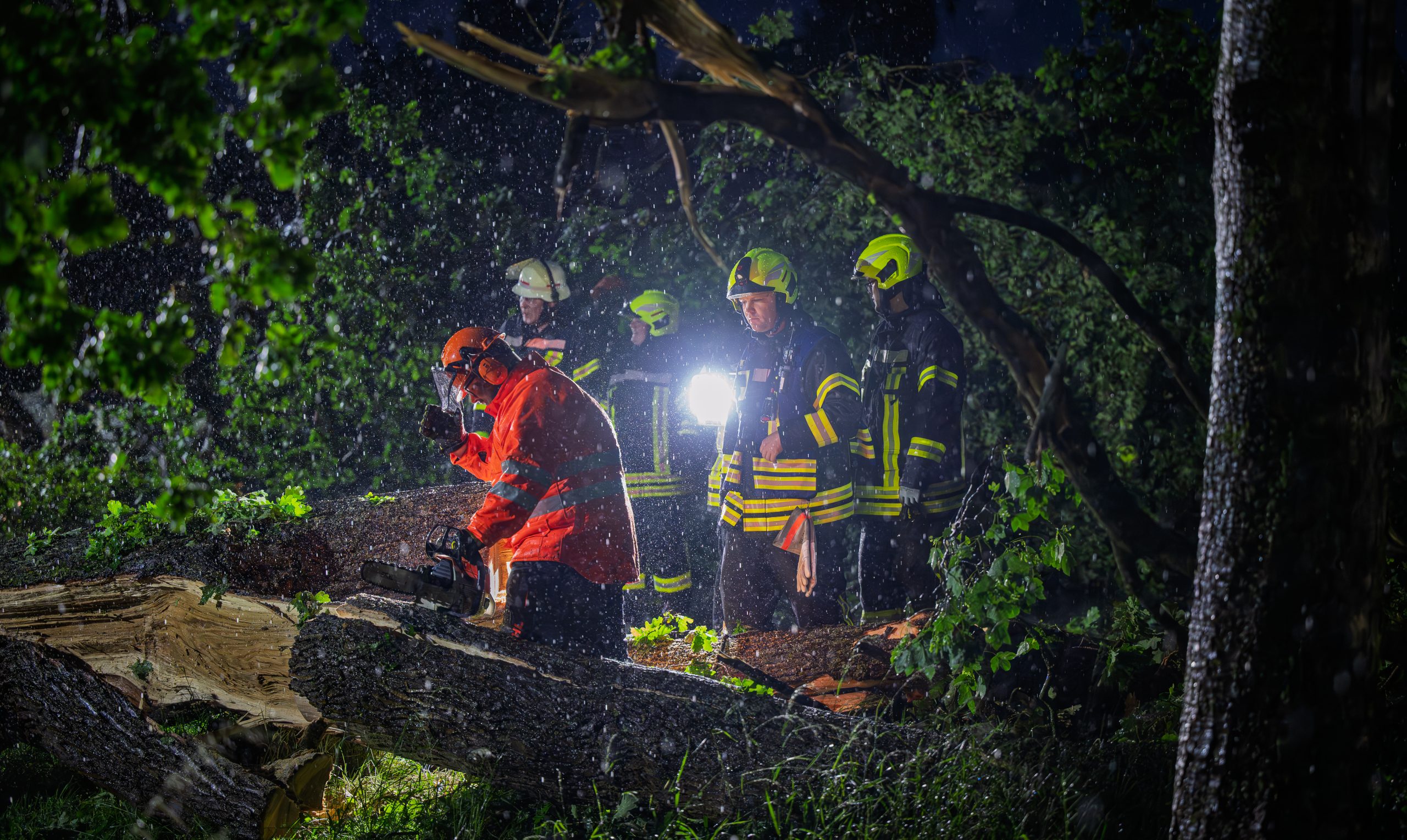Baum auf Straße Ebstorf Richtung Hanstest